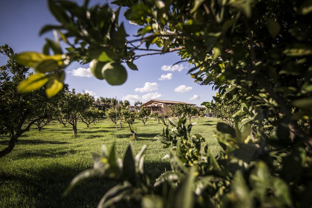 Agriturismo Il Giriatello Кротоне Екстер'єр фото