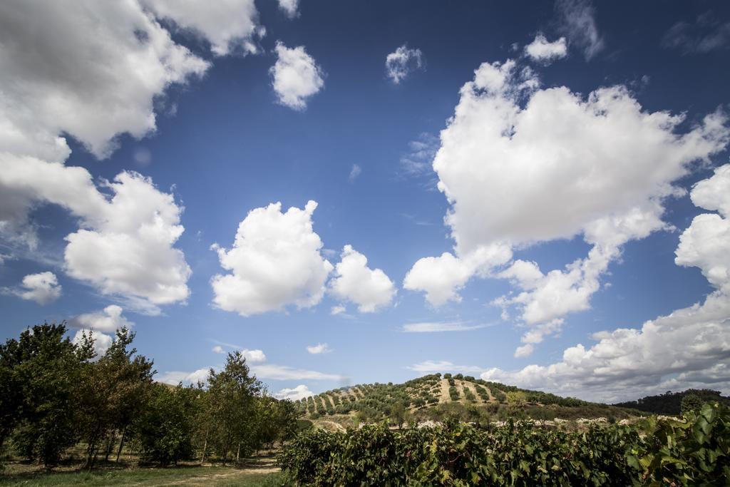 Agriturismo Il Giriatello Кротоне Екстер'єр фото