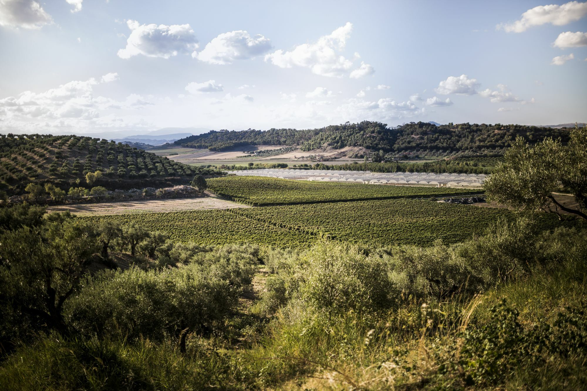 Agriturismo Il Giriatello Кротоне Екстер'єр фото
