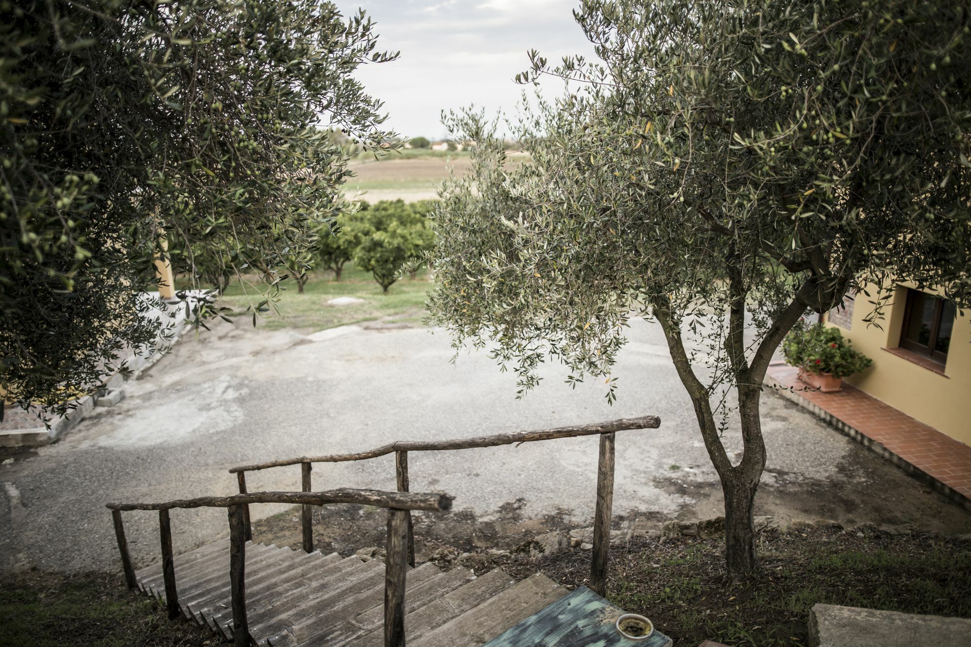 Agriturismo Il Giriatello Кротоне Екстер'єр фото